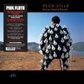 Pink Floyd Delicate Sound of Thunder Vinyl LP 2017