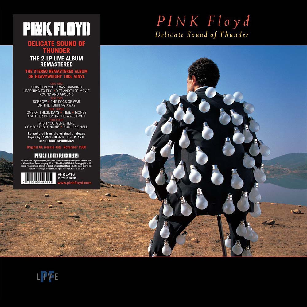 Pink Floyd Delicate Sound of Thunder Vinyl LP 2017