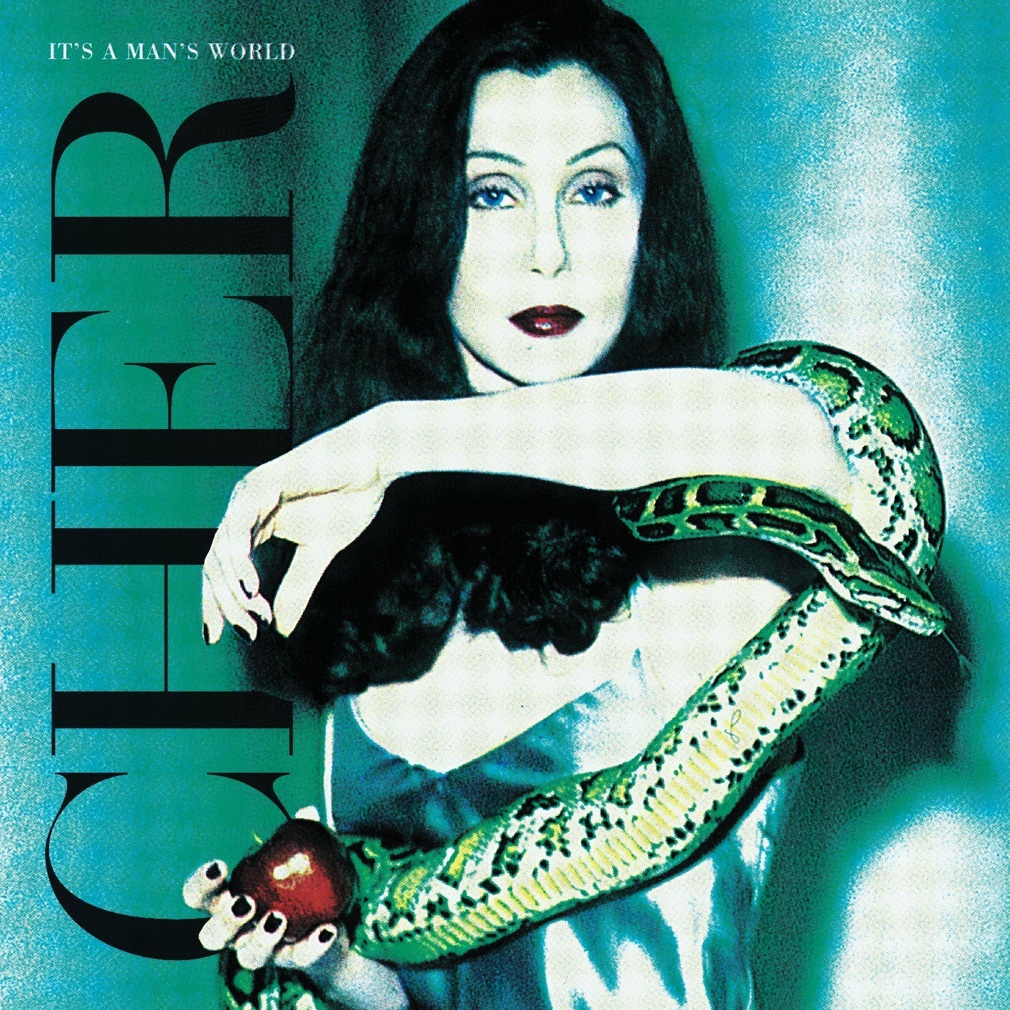 Cher - It's a Man's World (2023 Remaster) 2LP NEW