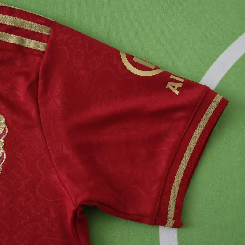 Fußball-Club Bayern München 125th Anniversary Fan Version 24/25 Season Jersey