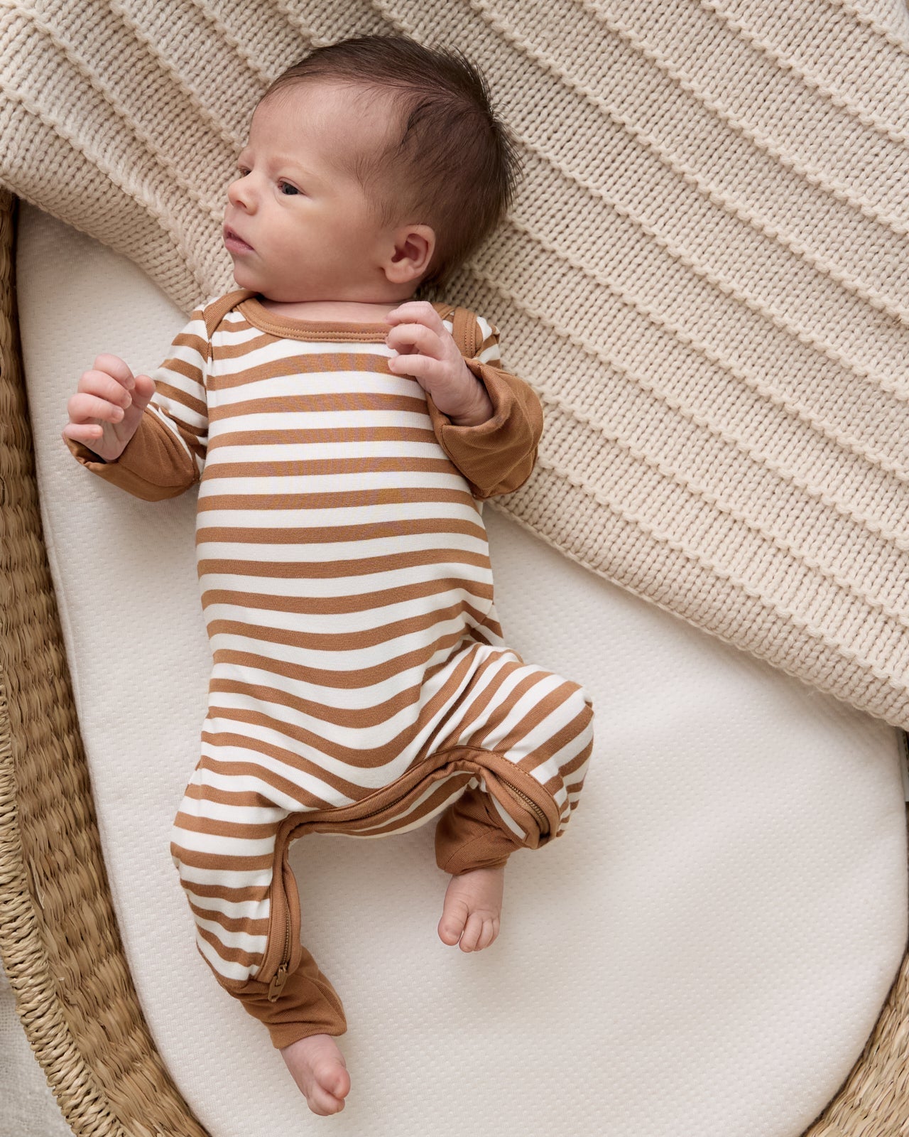 Chestnut Brown Stripe Crescent Zippy
