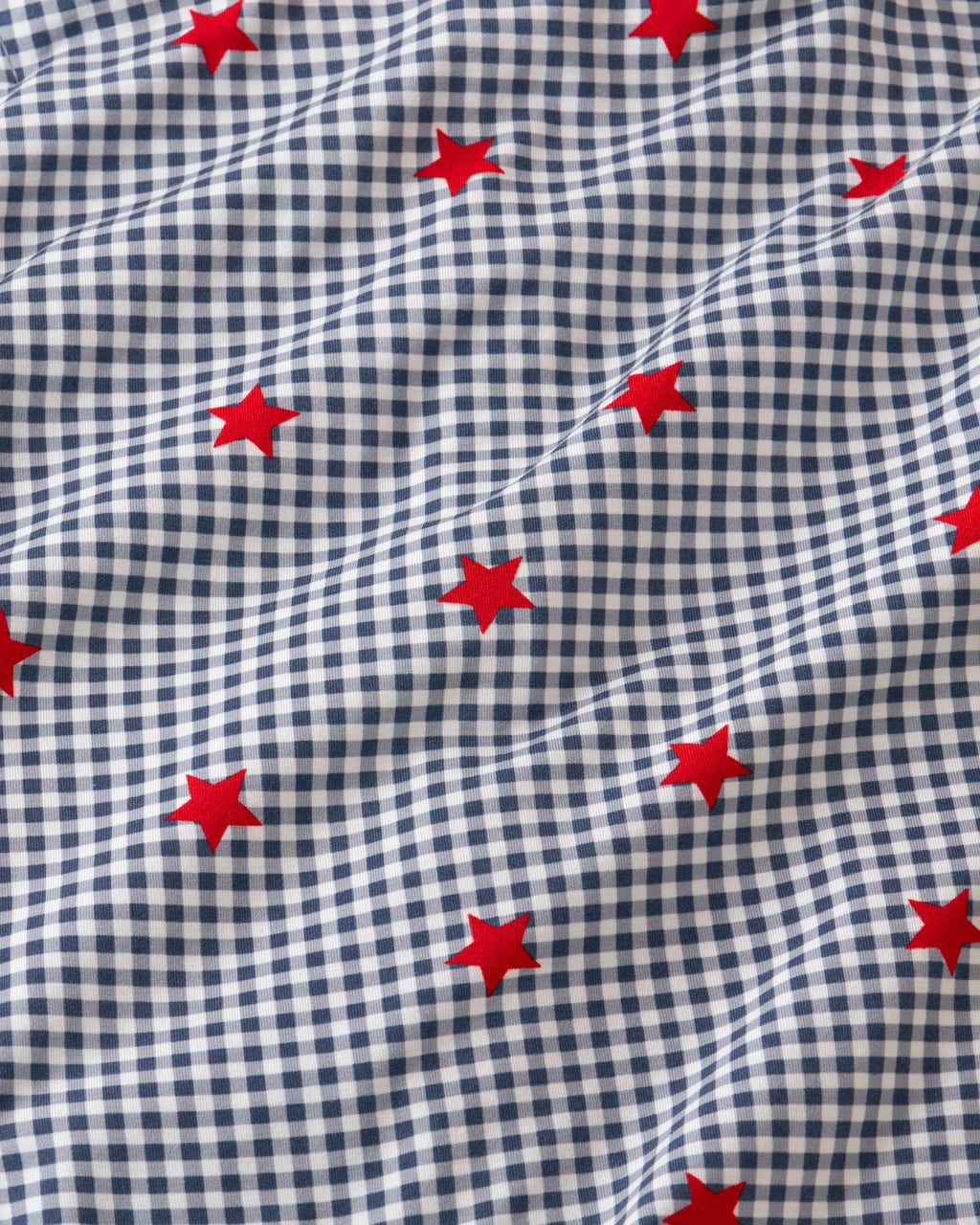 Blue Ribbon Gingham Button Down Shirt