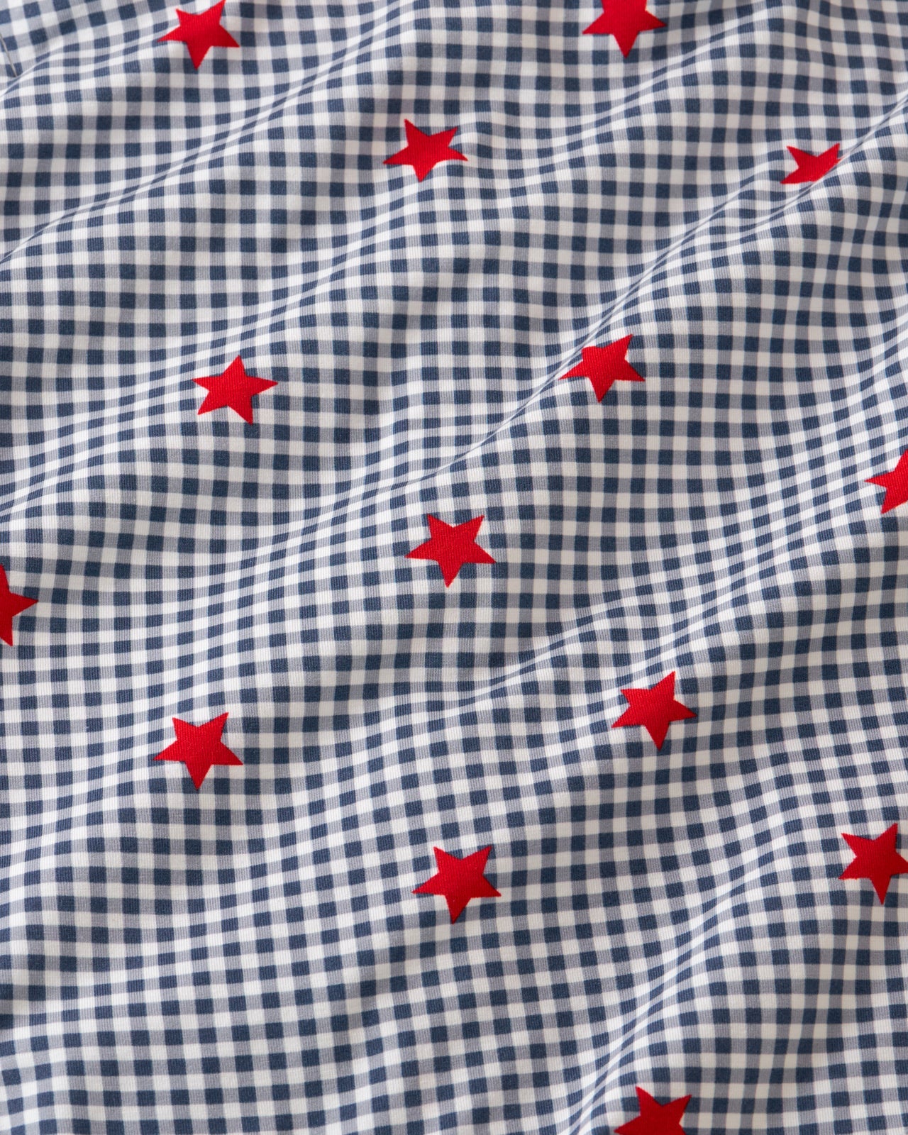Blue Ribbon Gingham Button Down Shirt