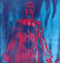 Nirvana – Sliver - VINYL 12" -ORIGINAL ISSUE