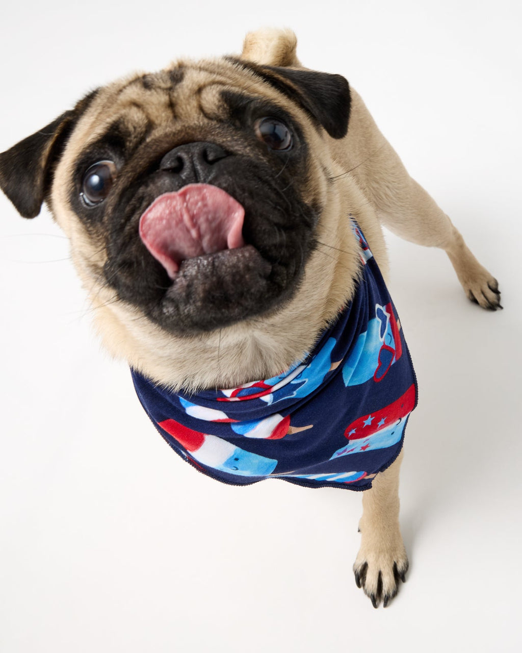 Sparkle Treats Pet Bandana