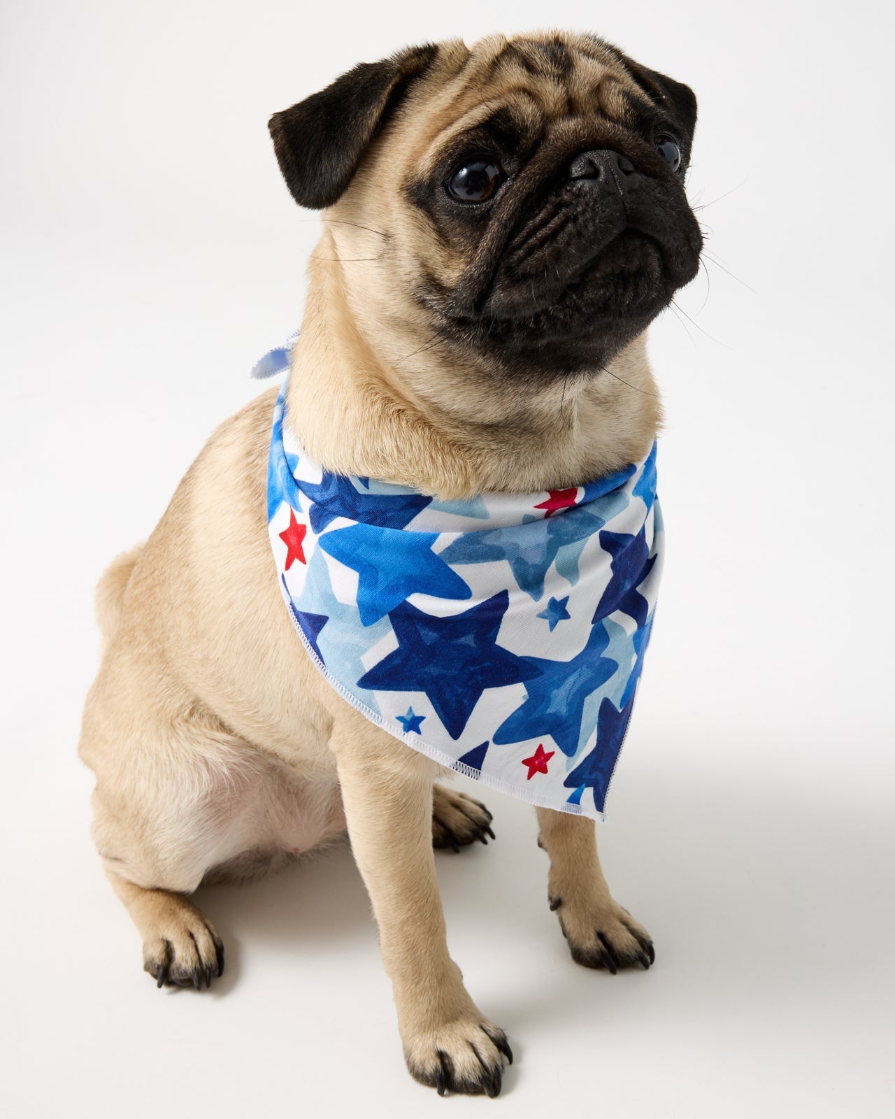 Starry Splash Pet Bandana