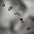 Peter Gabriel - UP - 3 x VINYL LP SET - HALF SPEED MASTER 45rpm