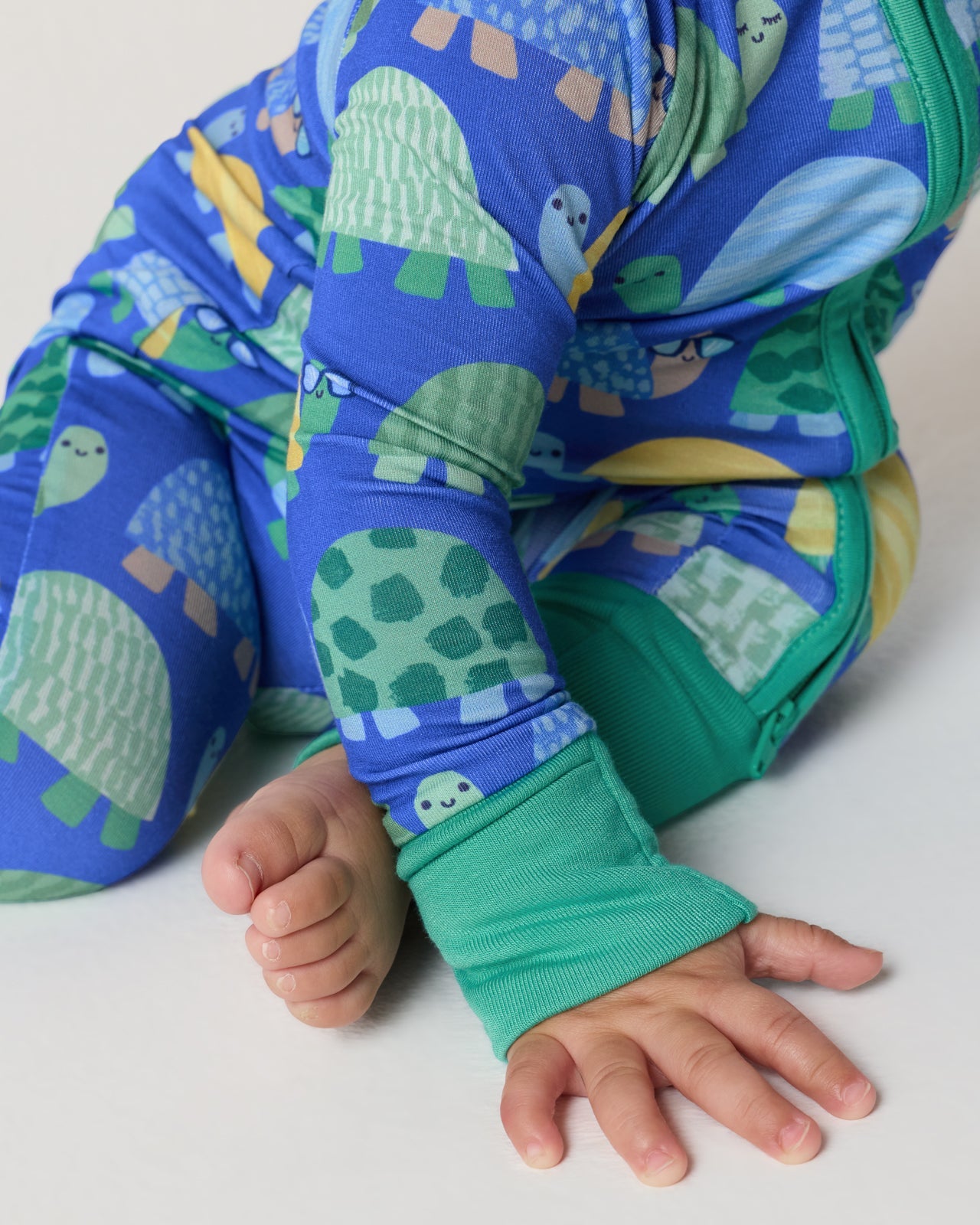 Shell Parade Zippy