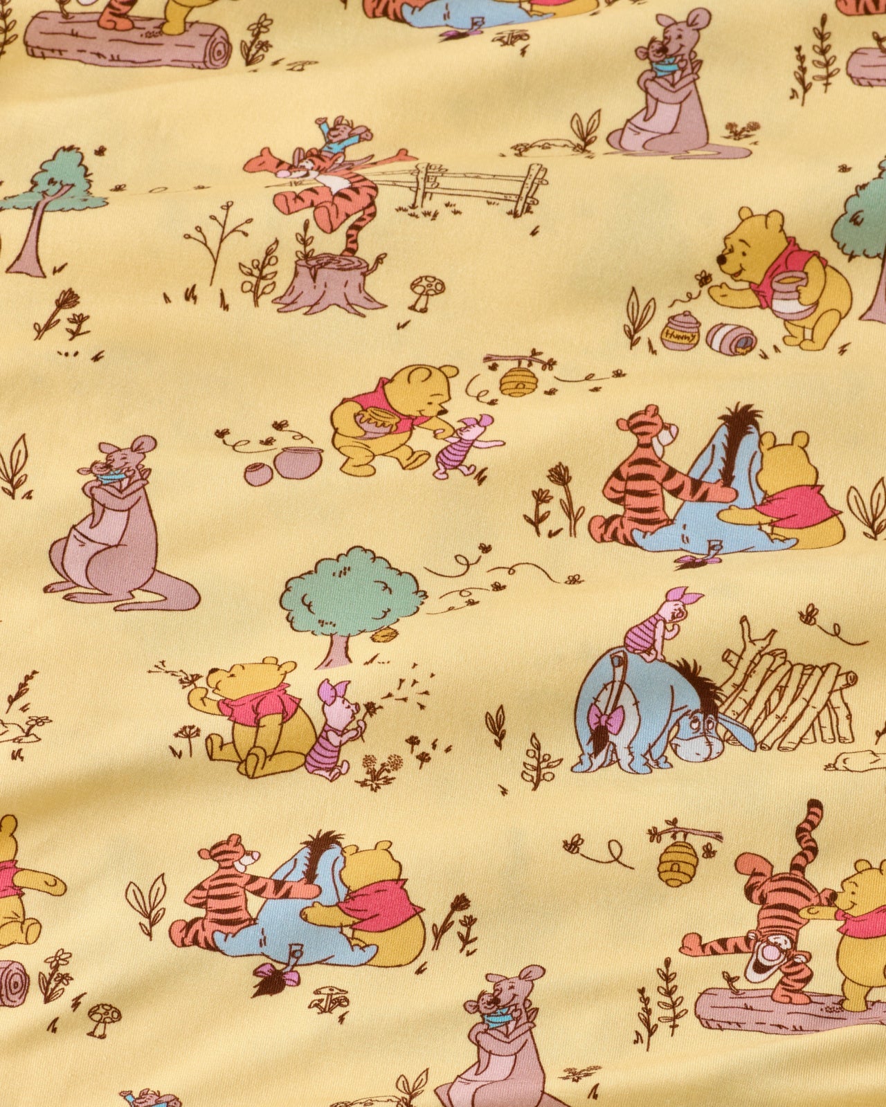 Disney Playtime With Pooh Large Cloud Blanket®
