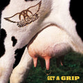 Aerosmith - Get A Grip 2LP NEW 2017